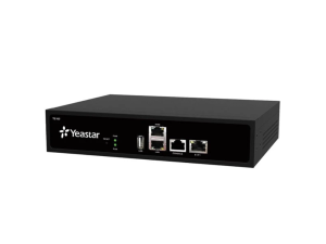 Yeastar TE100